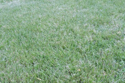 1DSCN0284.jpg