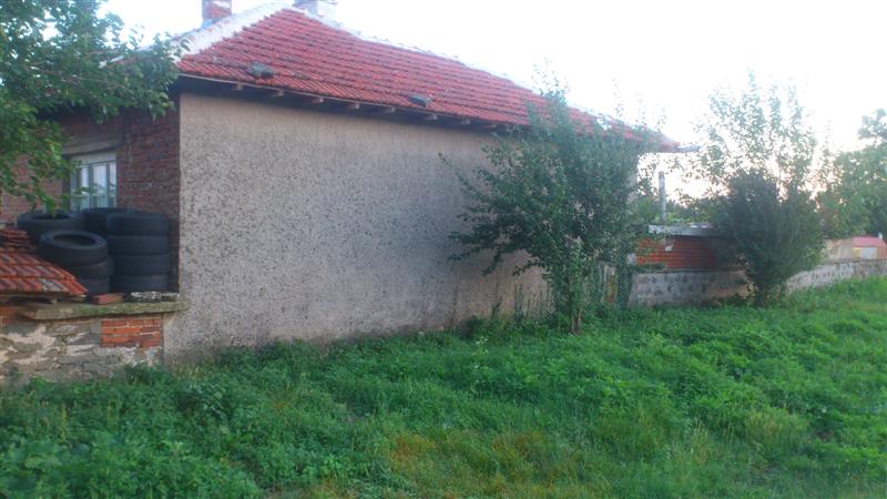 DSC_0703 (Medium).JPG