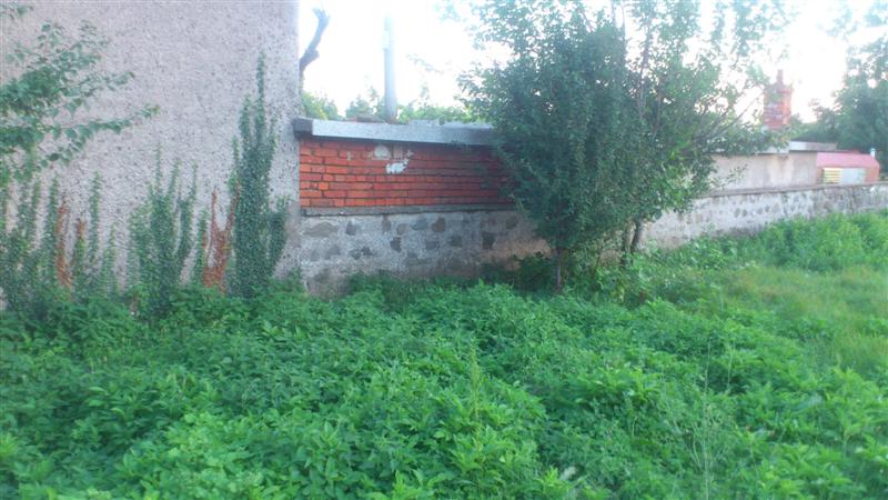 DSC_0704 (Medium).JPG