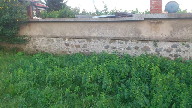 DSC_0705 (Medium).JPG