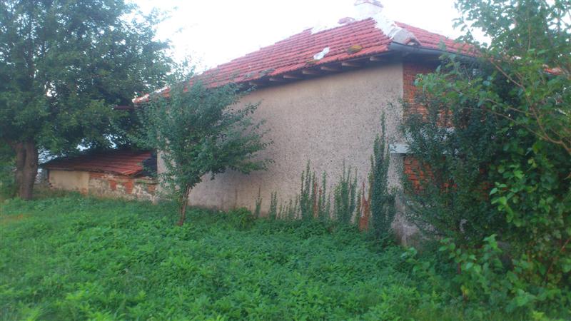 DSC_0706 (Medium).JPG