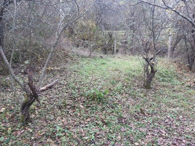 20141108_120752.jpg