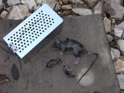 DSCF2709.JPG
