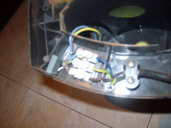 ALIM9862 (600 x 450).jpg