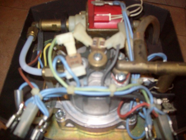 ALIM9860 (600 x 450).jpg