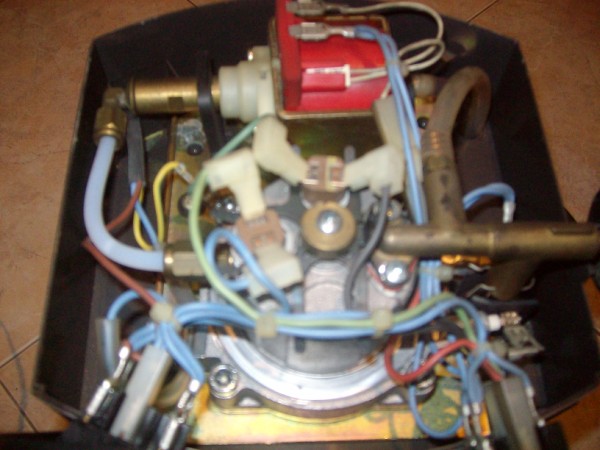 ALIM9856 (600 x 450).jpg