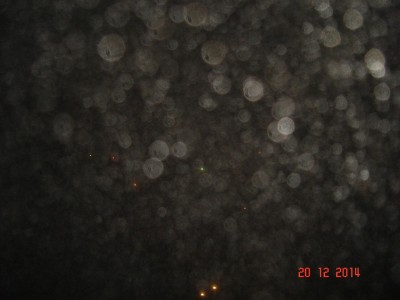 DSC00086 (1152 x 864).jpg