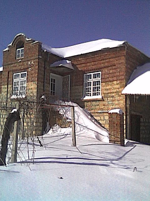 Cam000061.jpg