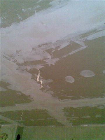 03112007(006) (Small).jpg