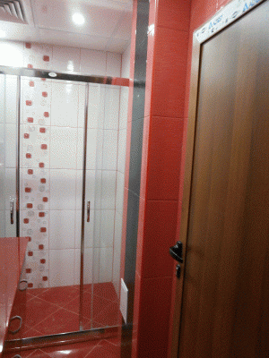 PB090166.gif
