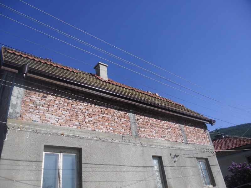 SAM_0231 (800 x 600).jpg