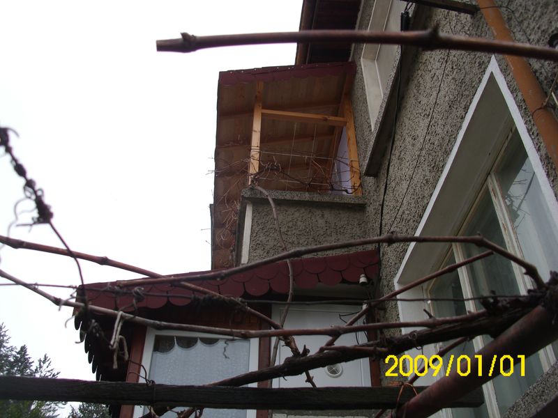 DSCI2424.JPG