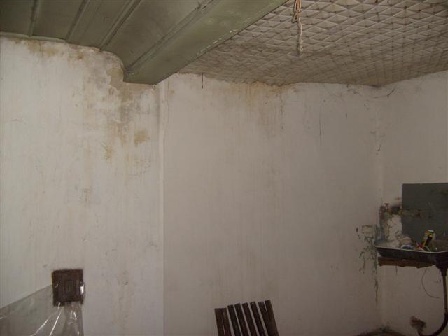 S6300647 (Small).JPG