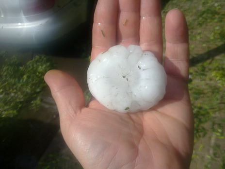 Ледена курабийка_2014-07-08.jpg