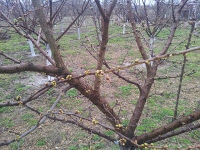 20150303_101122.jpg