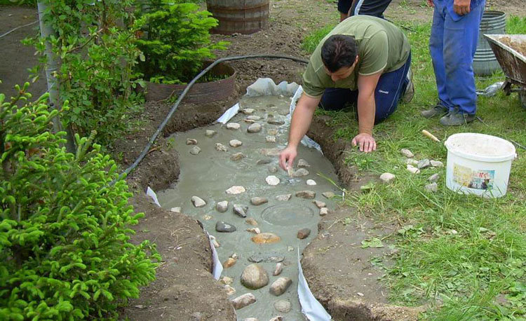 Resize of DSCN3537.jpg