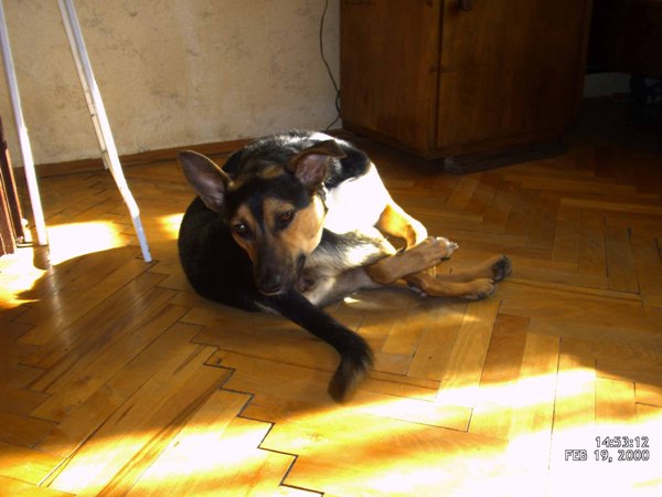 Copy of DMC_0014.JPG