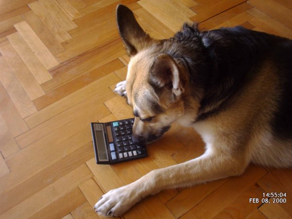 Copy of DMC_0001.JPG