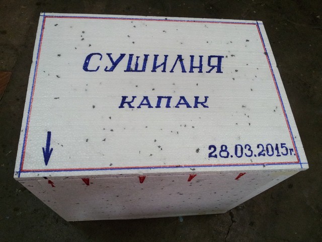 20150330_105602 [640x480].jpg