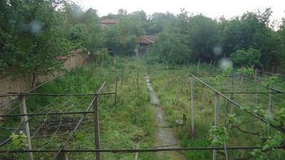 DSC04205a.jpg