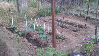 oie_2310122dS49wwMF.jpg