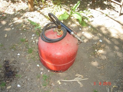 DSC00132 (1152 x 864).jpg