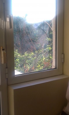 2015-07-16 07.14.55.jpg