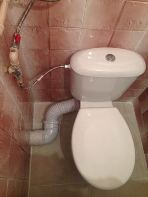 image.jpg