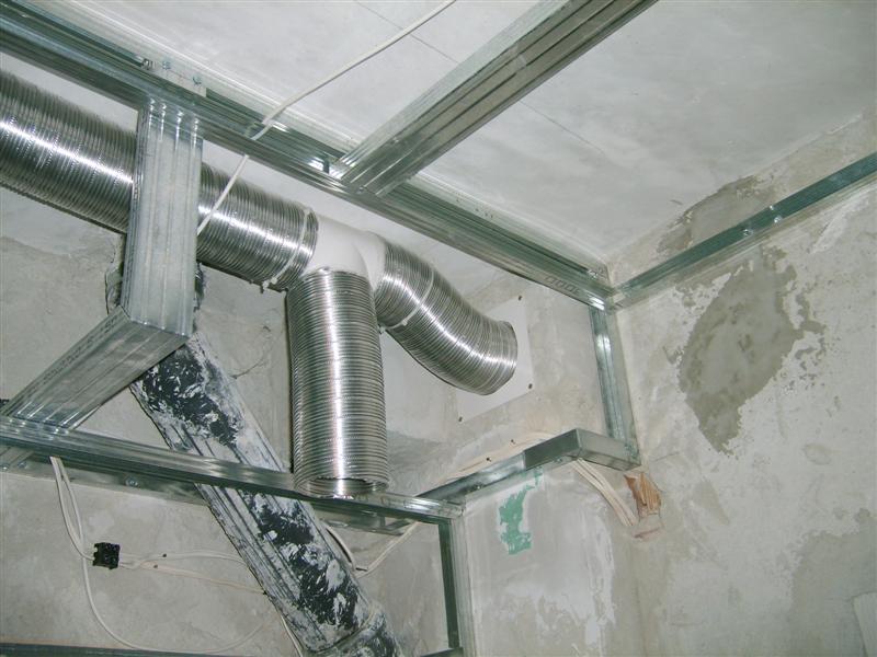 S5004621 (Medium).JPG