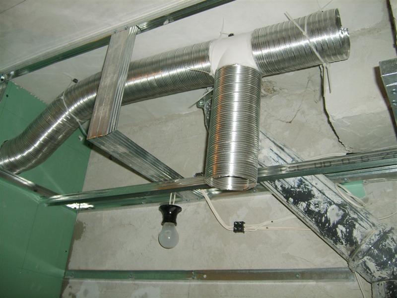 S5004613 (Medium).JPG