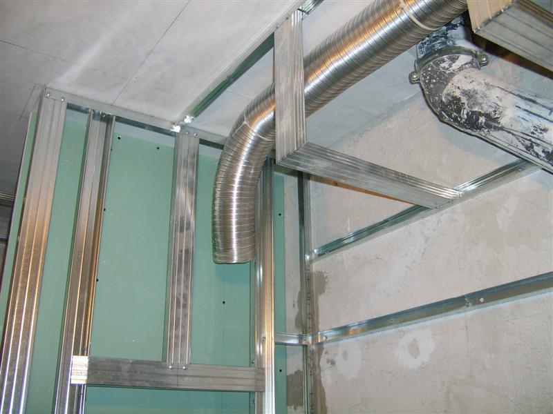 S5004595 (Medium).JPG