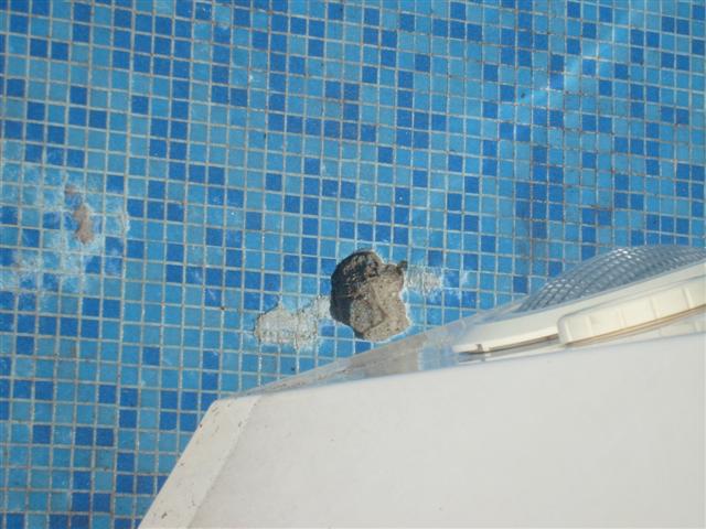 S6300754 (Small).JPG